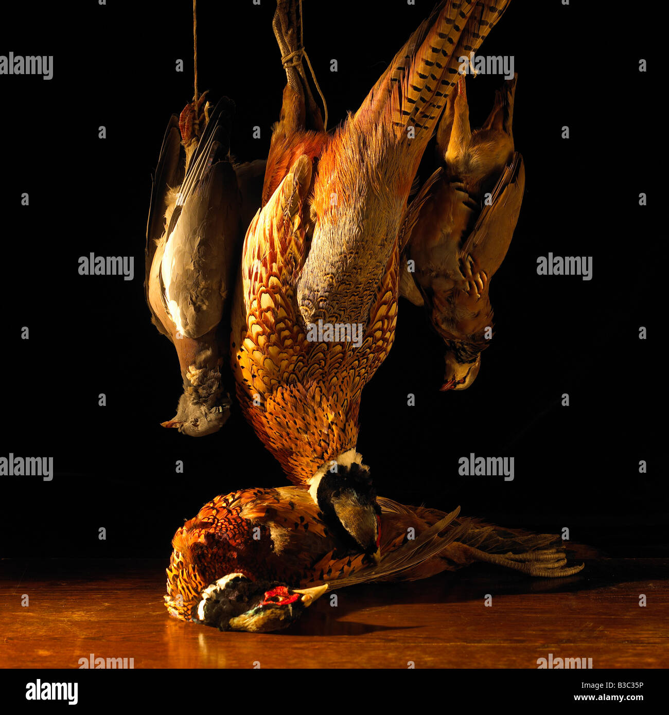 Game birds hanging above a table Stock Photo
