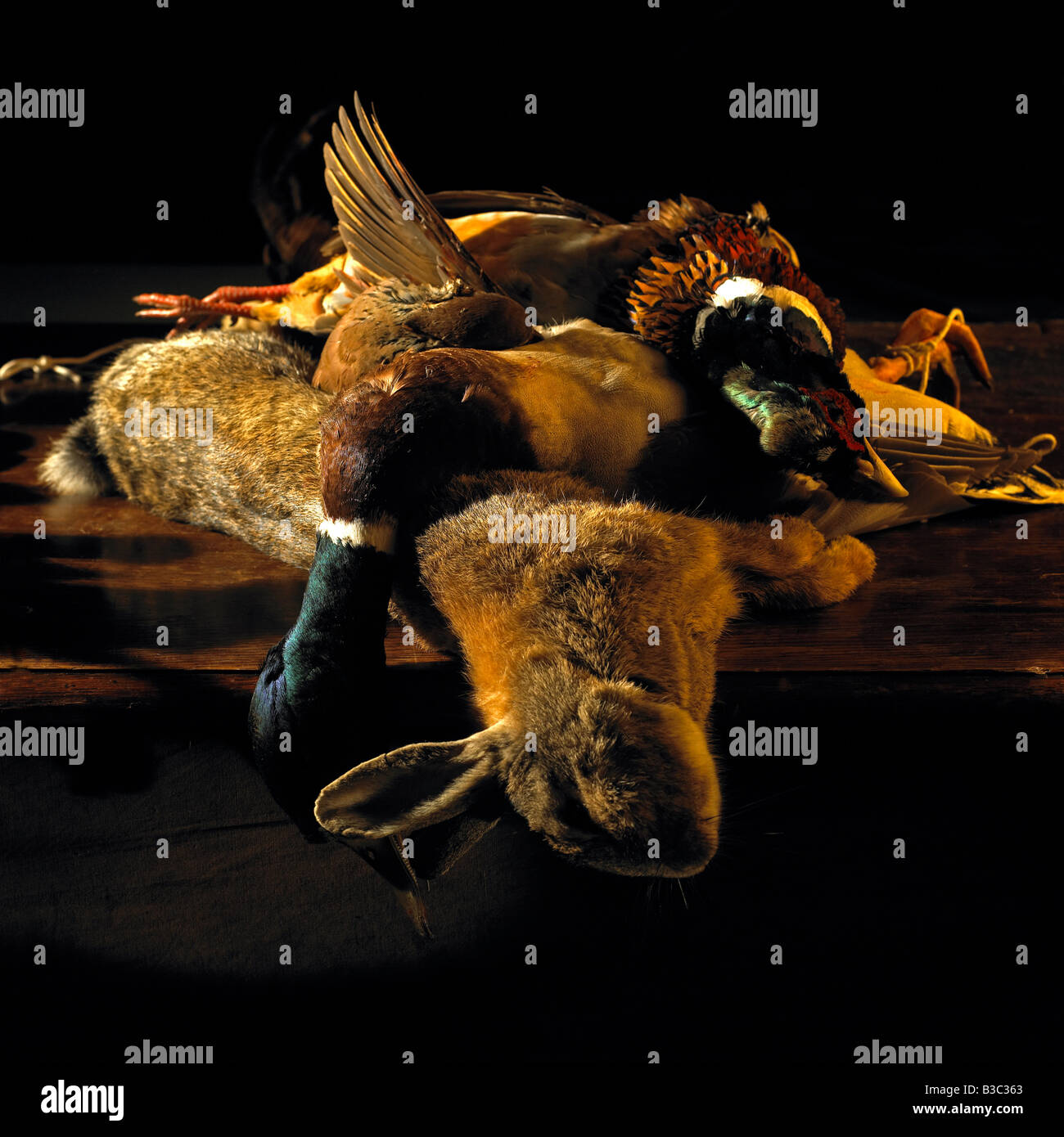 Game birds laying across a table Stock Photo