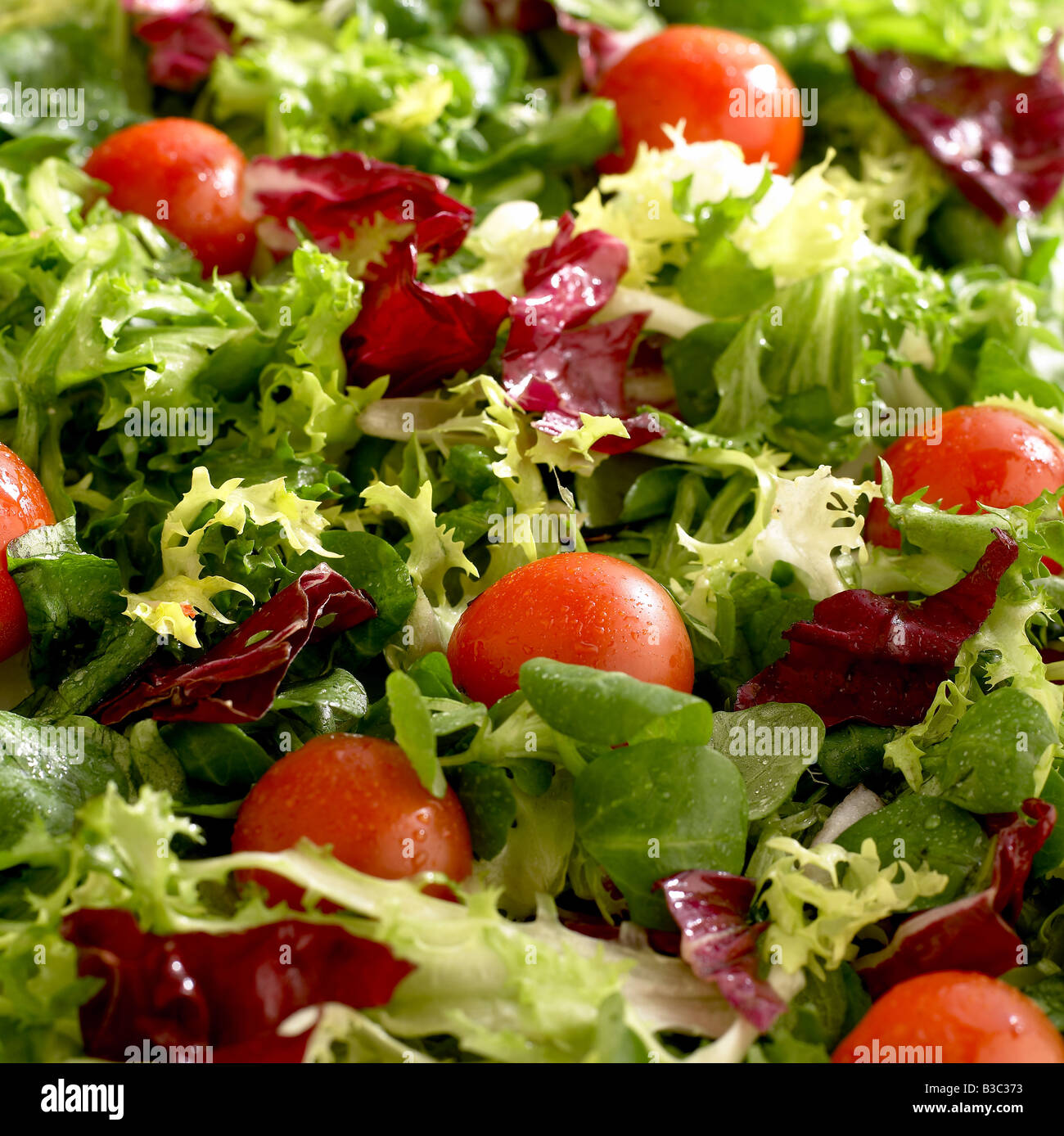 A mixed leaf salad with cherry tomatoes Stock Photo