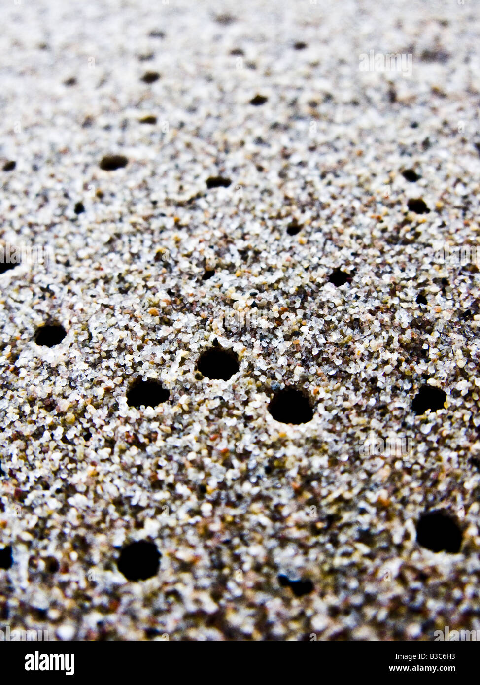 small holes in the beach sand Stock Photo Alamy