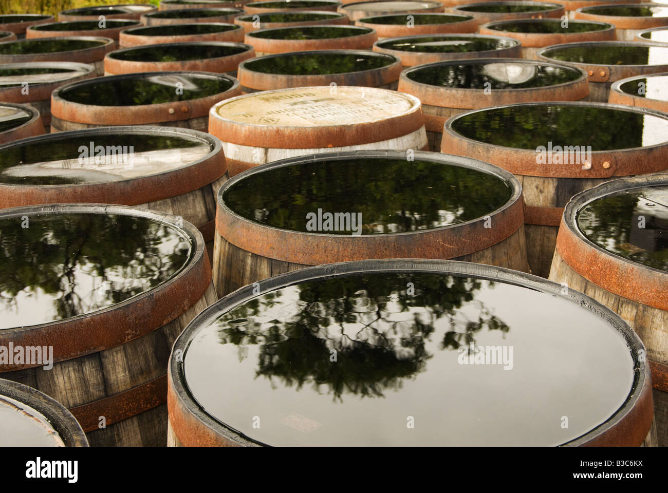 barrels of whisky with water reflection reflect top many number