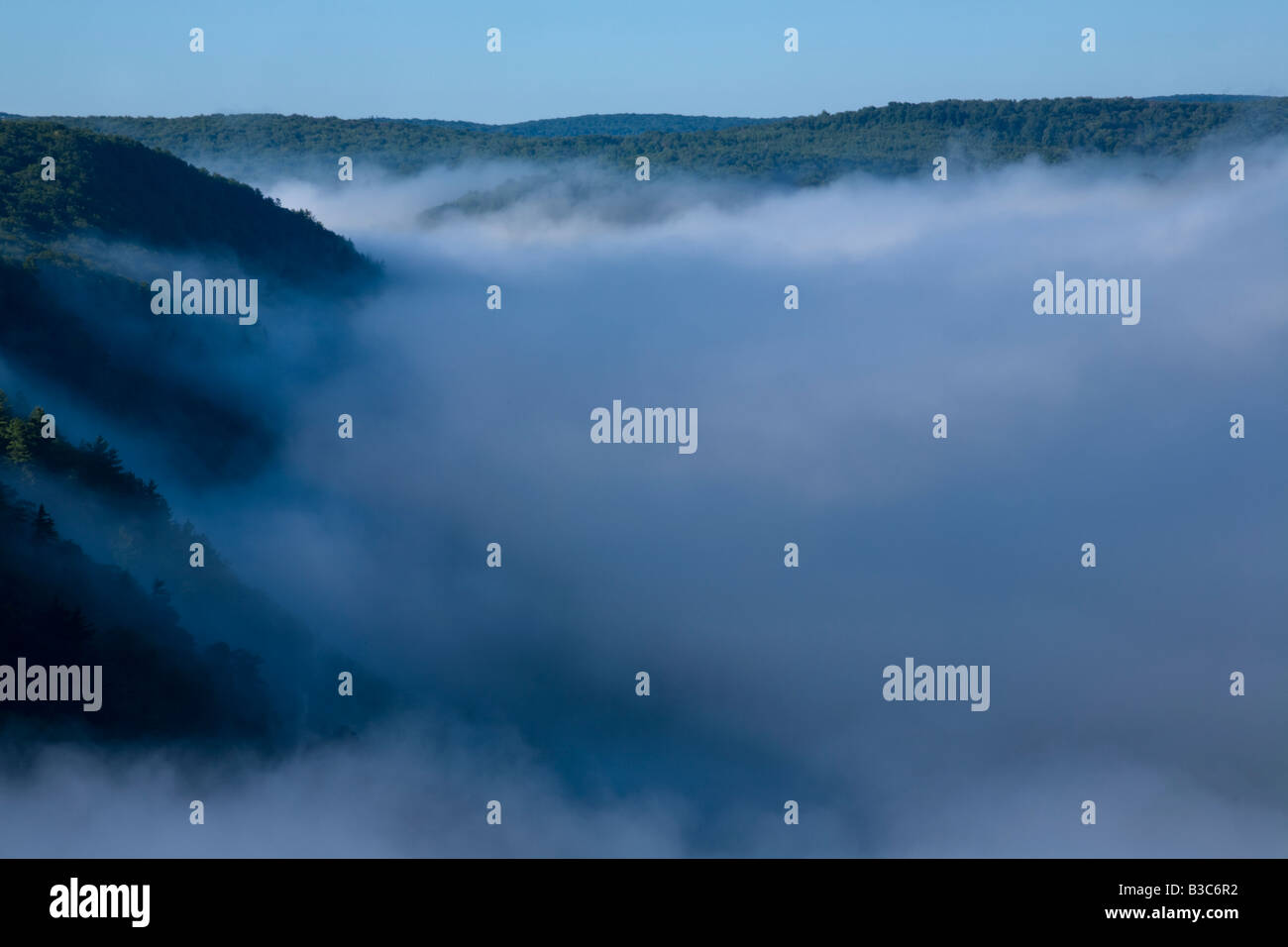 Fog lifting on Pine Creek Gorge Grand Canyon of Pennsylvania Stock Photo