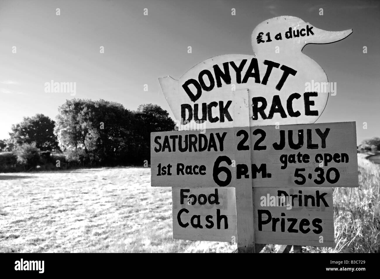 England, Somerset, Donyatt. Road side sign advertising charity duck race - a traditional summer fundraising activity in the area. Stock Photo