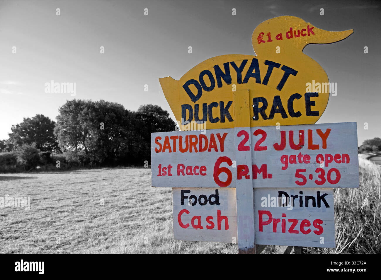 England, Somerset, Donyatt. Road side sign advertising charity duck race - a traditional summer fundraising activity in the area. Stock Photo