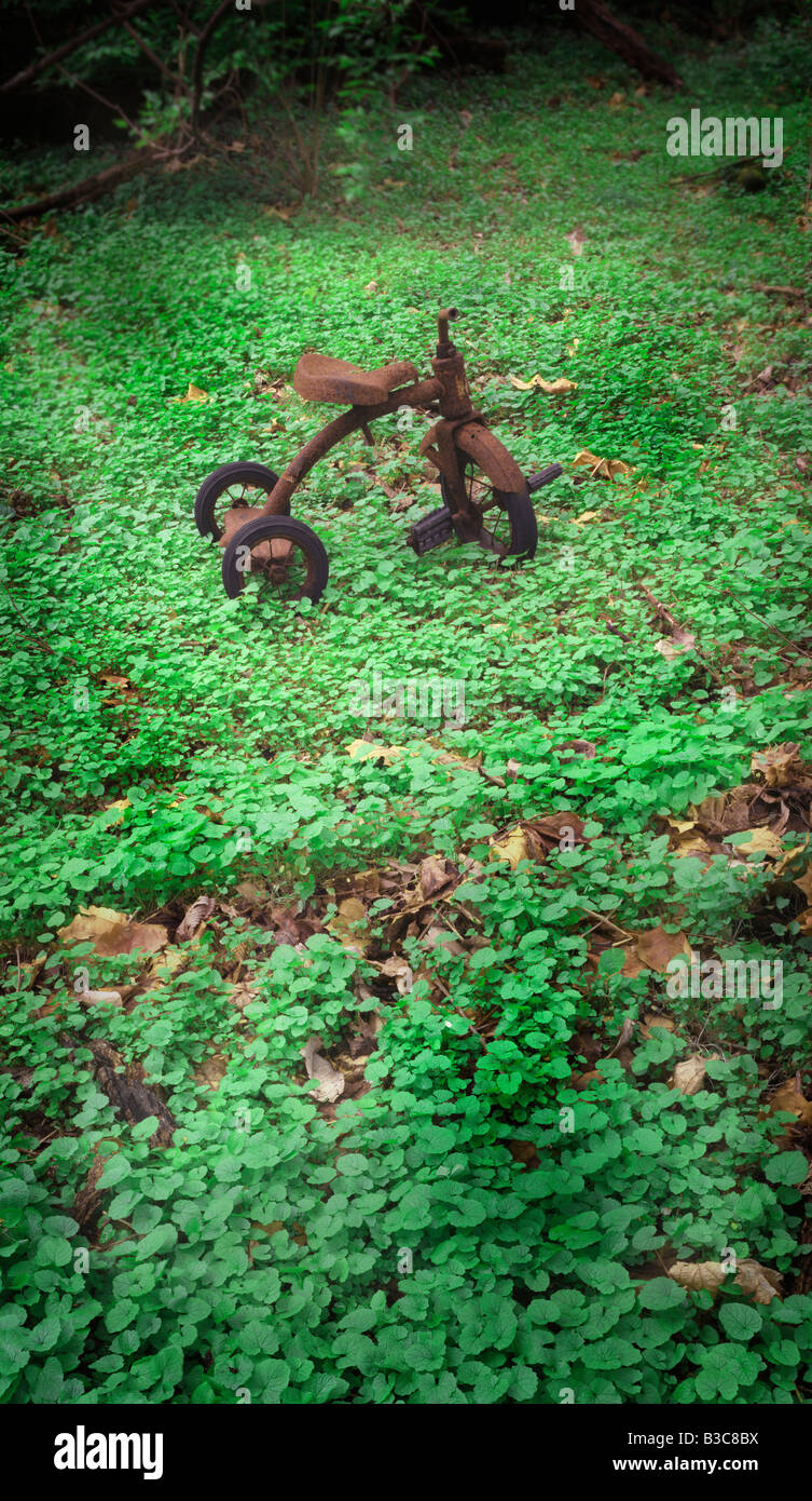 Old Very Rusty Tricycle Abandoned In Forest Stock Photo
