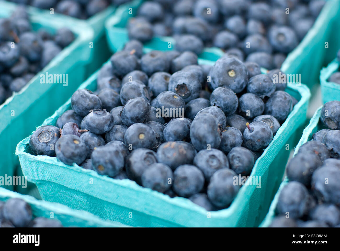 Blueberry pint hires stock photography and images Alamy