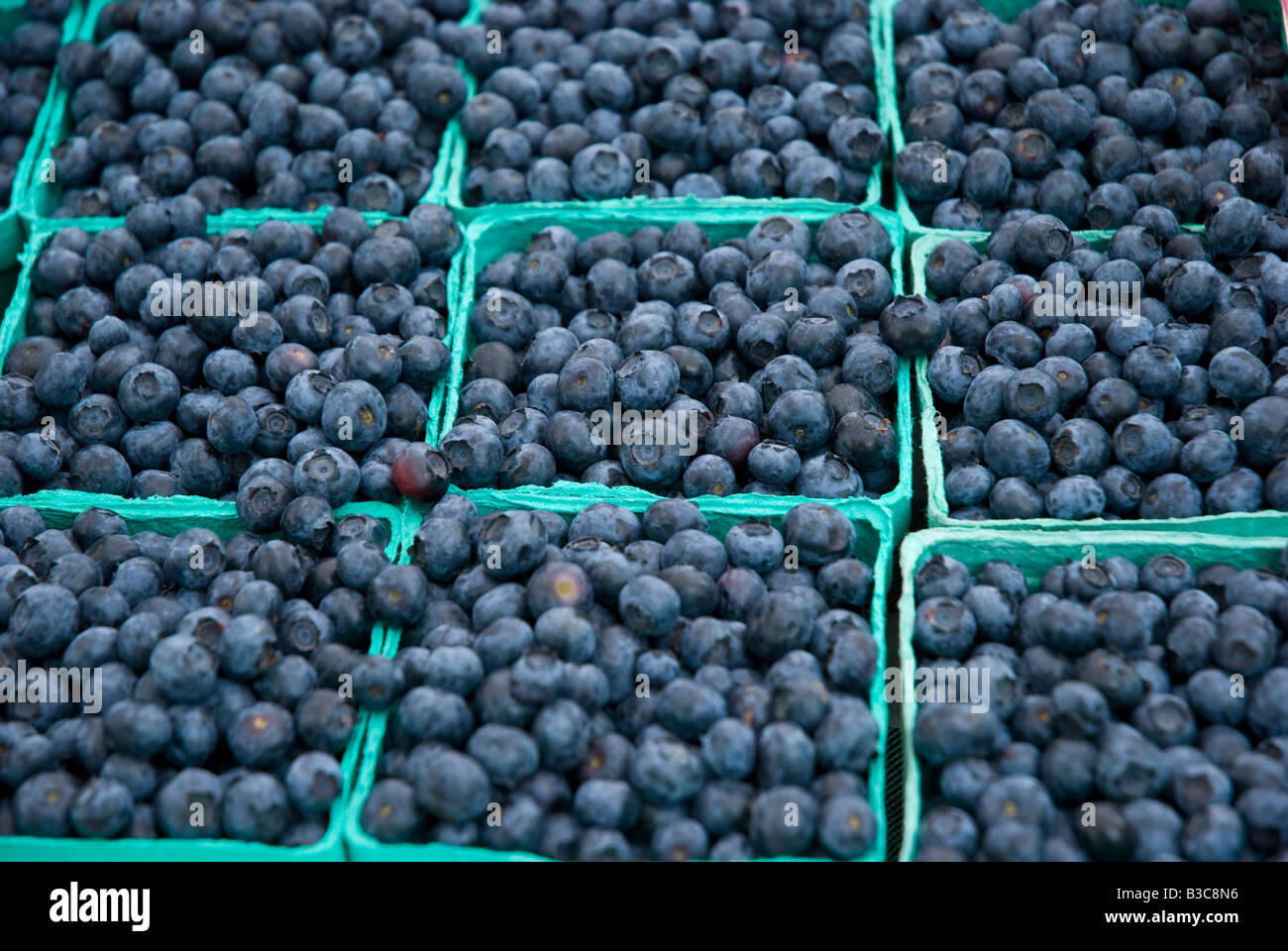 Blueberry pint hires stock photography and images Alamy