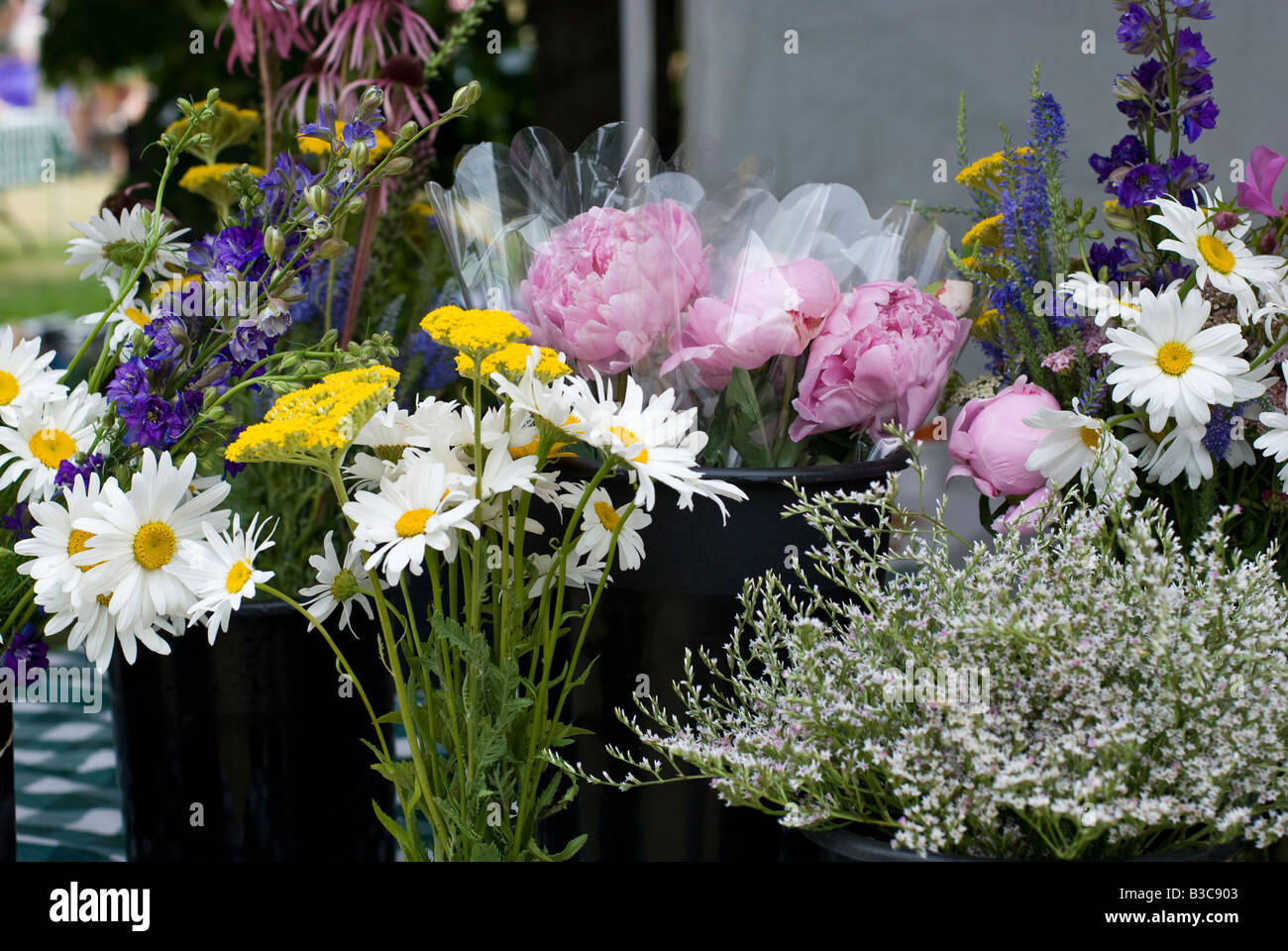 Locally grown organic flowers for sale at a farmers market Stock Photo