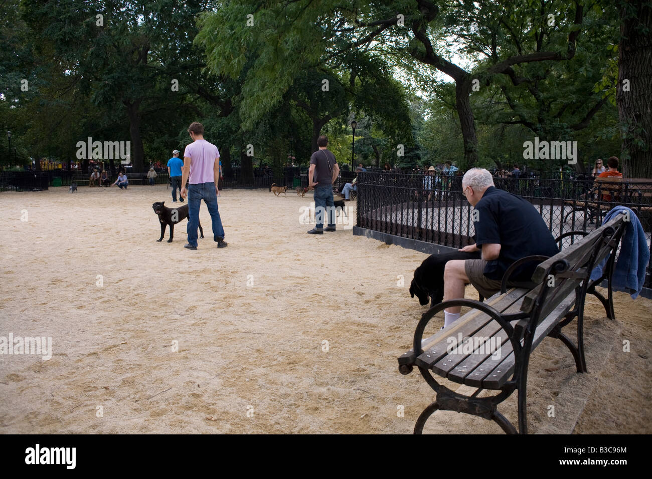 Dog run in Tompkin Square Park New York City Stock Photo Alamy