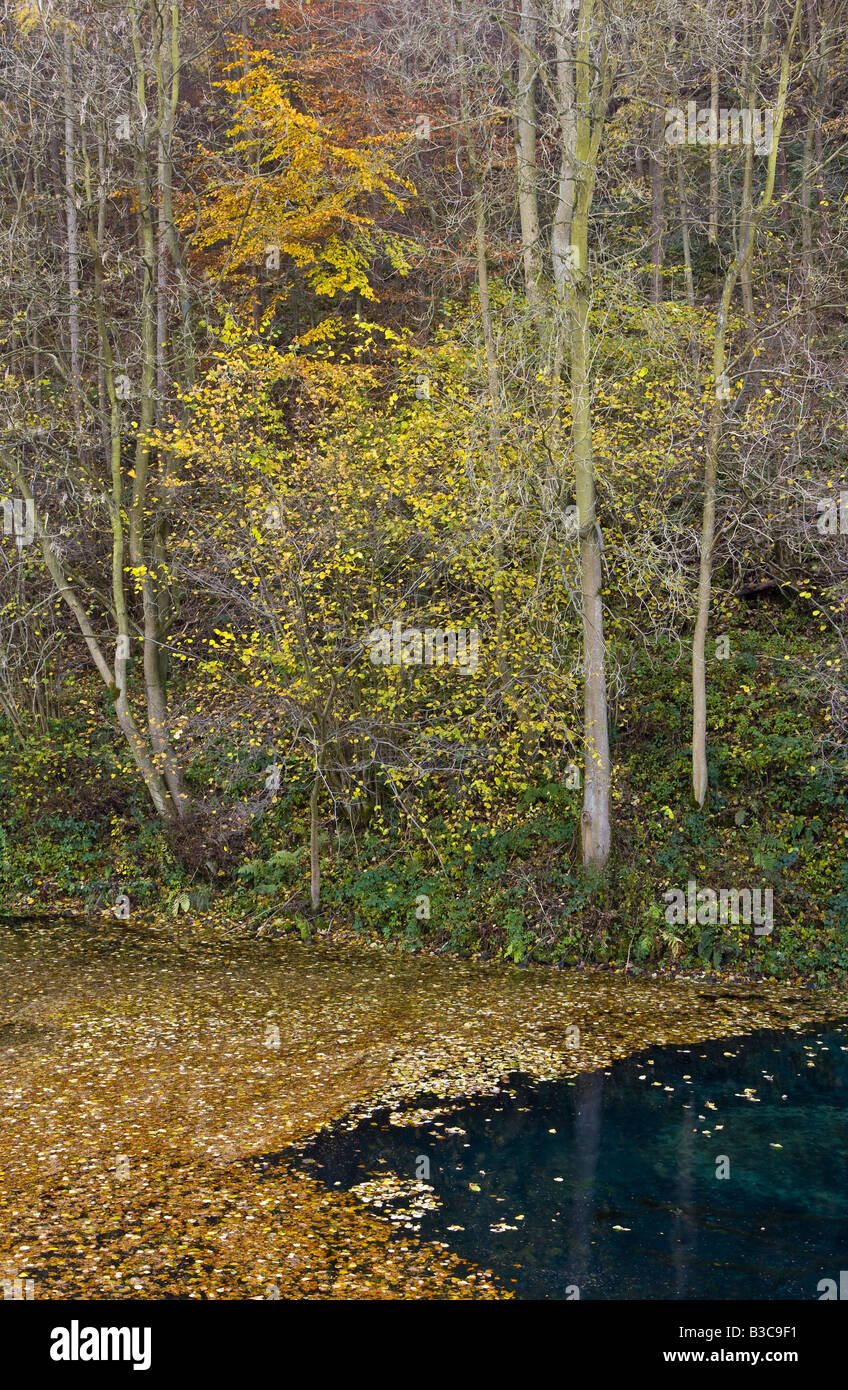 Autumn trees above a dark blue River Lathkill which is covered in fallen leaves Stock Photo