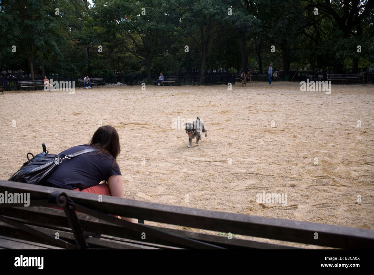 Dog run in Tompkin Square Park New York City Stock Photo Alamy