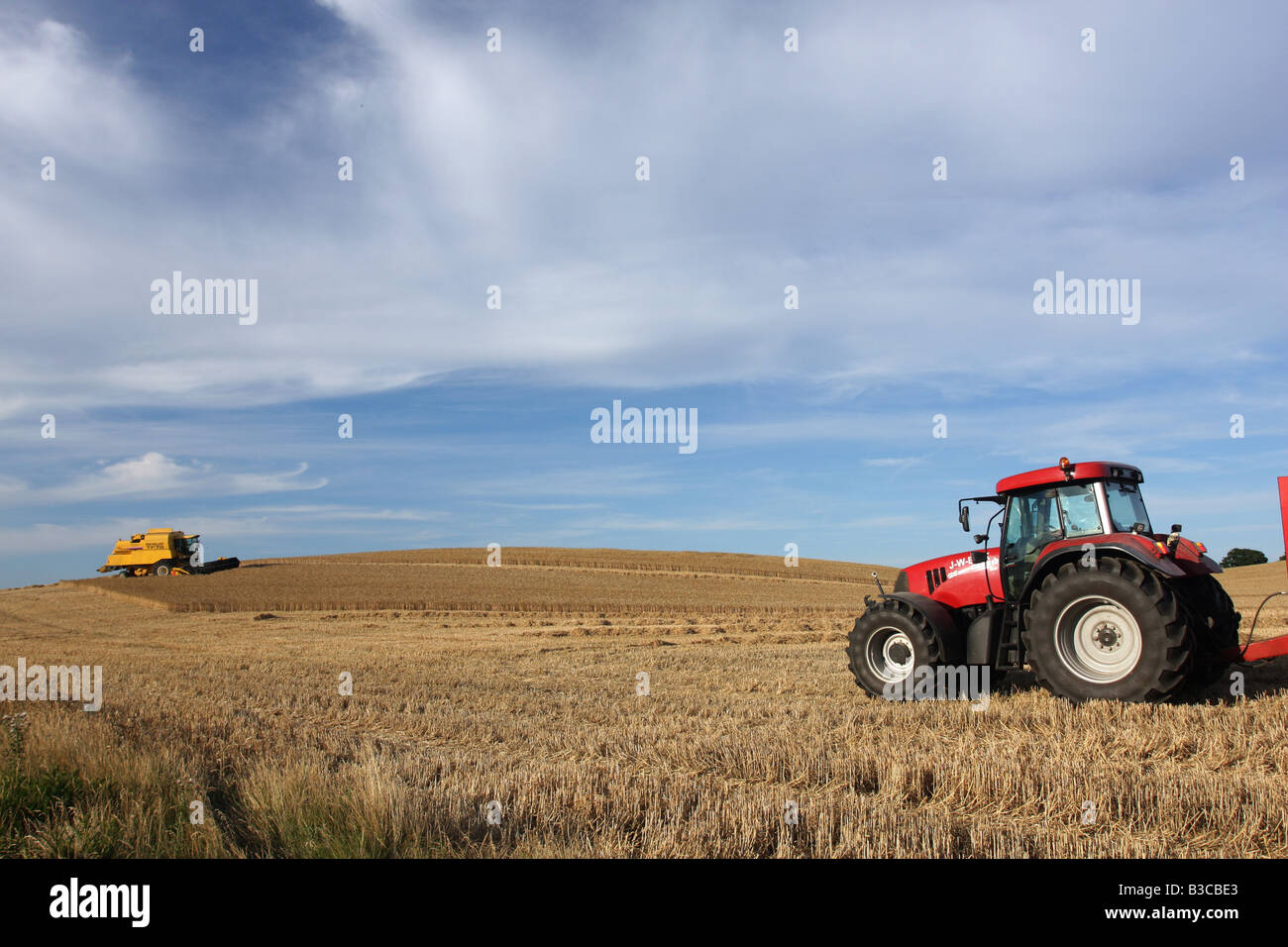 Harvesting with red tractor in denmark a sunny summer day Stock Photo ...
