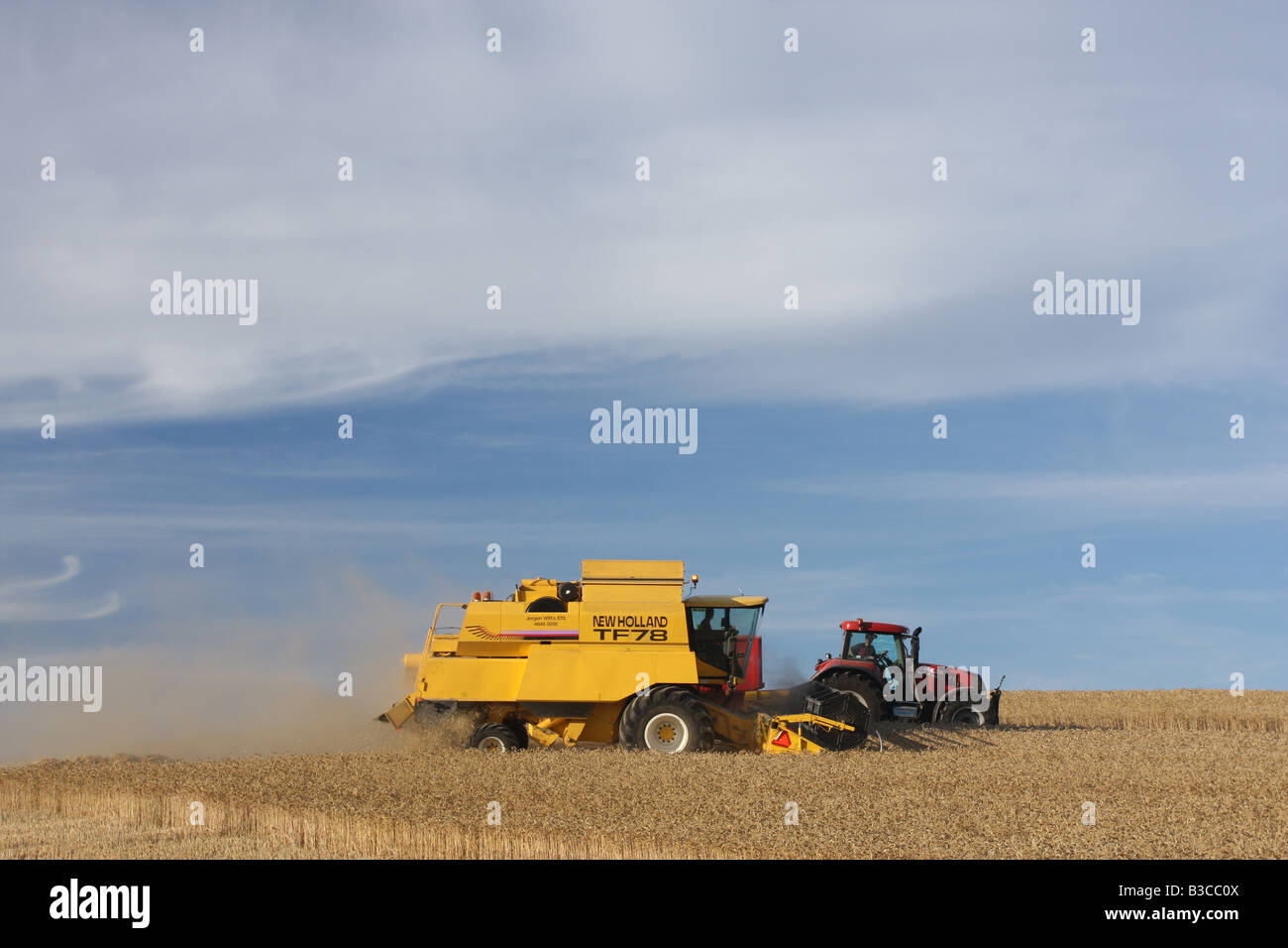 Harvesting with red tractor in denmark a sunny summer day Stock Photo ...