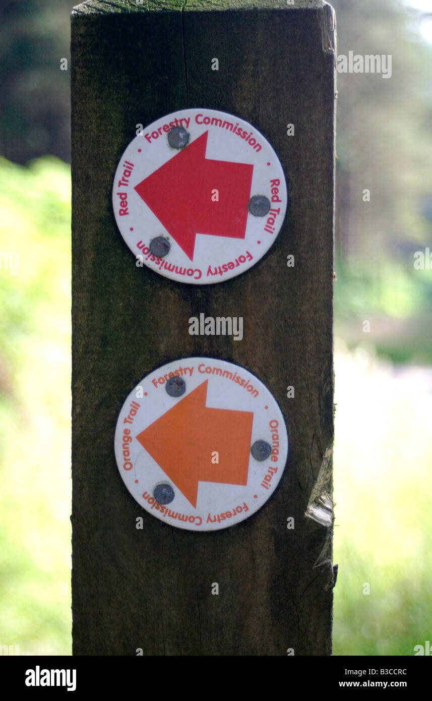 Forestry Commission waymarker along the Simonside Ridge Walk, Northumberland, UK Stock Photo