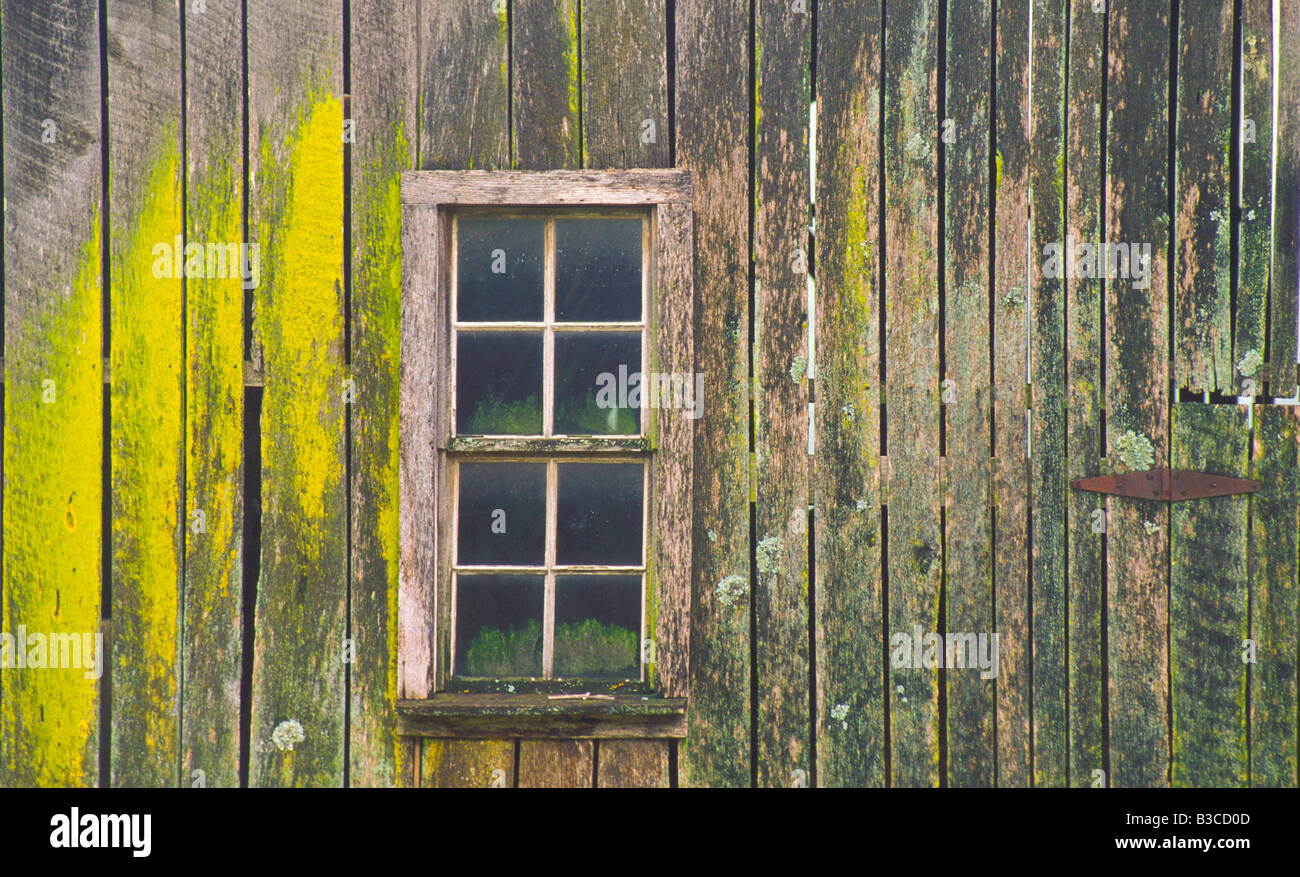 IDAHO Agriculture Palouse Region Textured old weathered barn and pane window on farm Stock Photo
