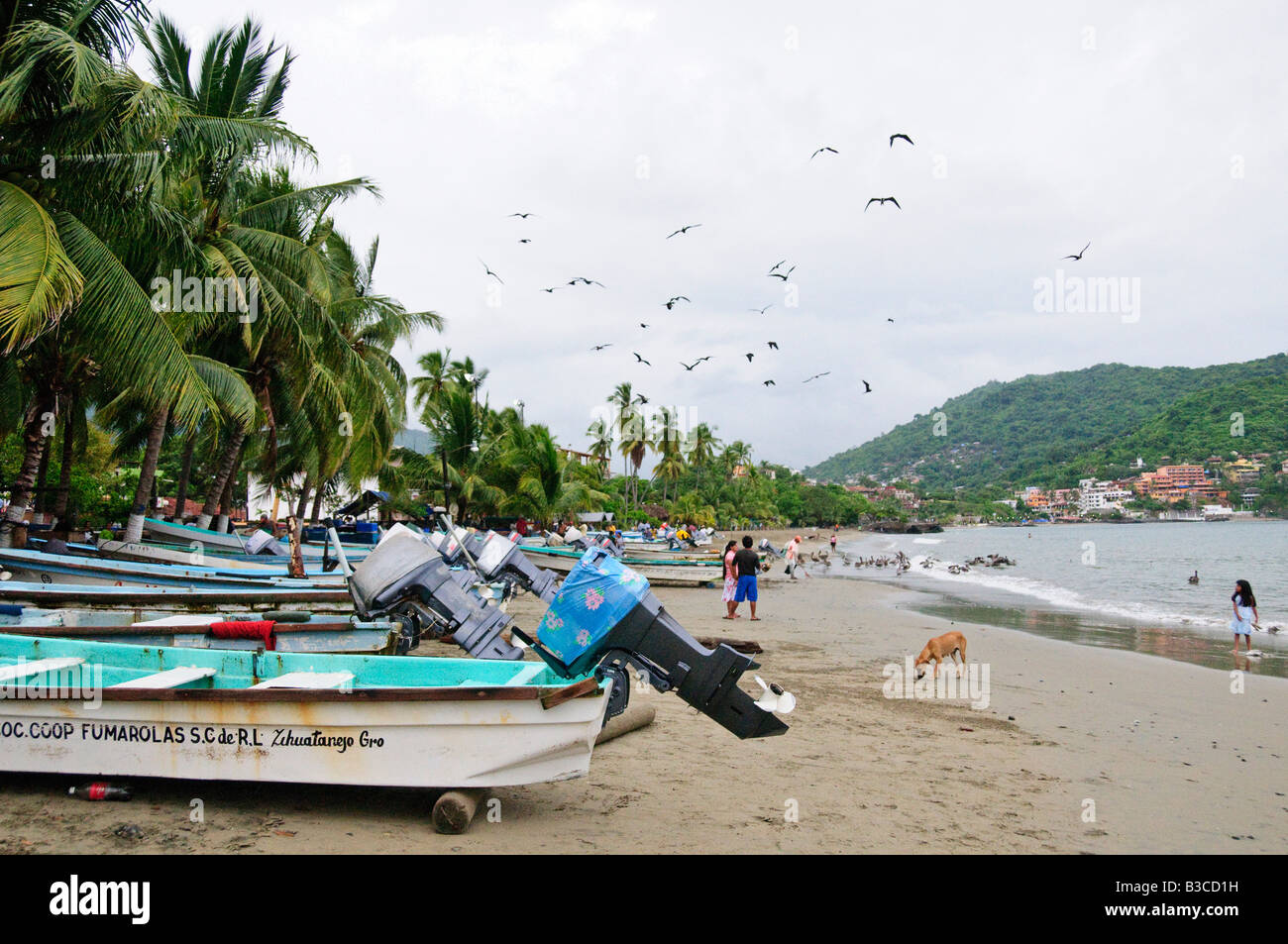 ZIHUATANEJO, Mexico The fish market on the beach at Playa Principal