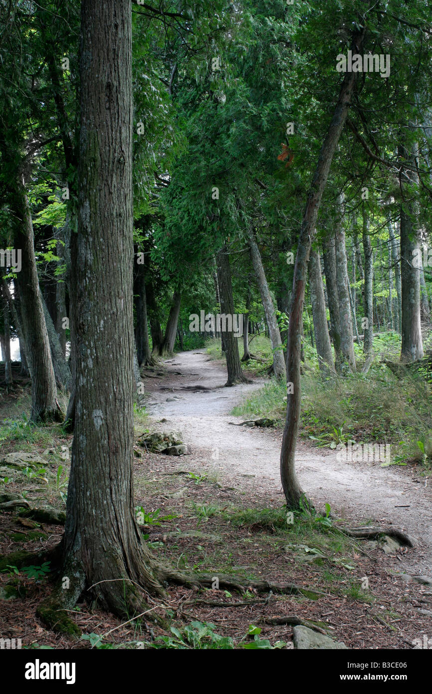 Path through forest Cave Point County Park Door County Wisconsin Stock Photo