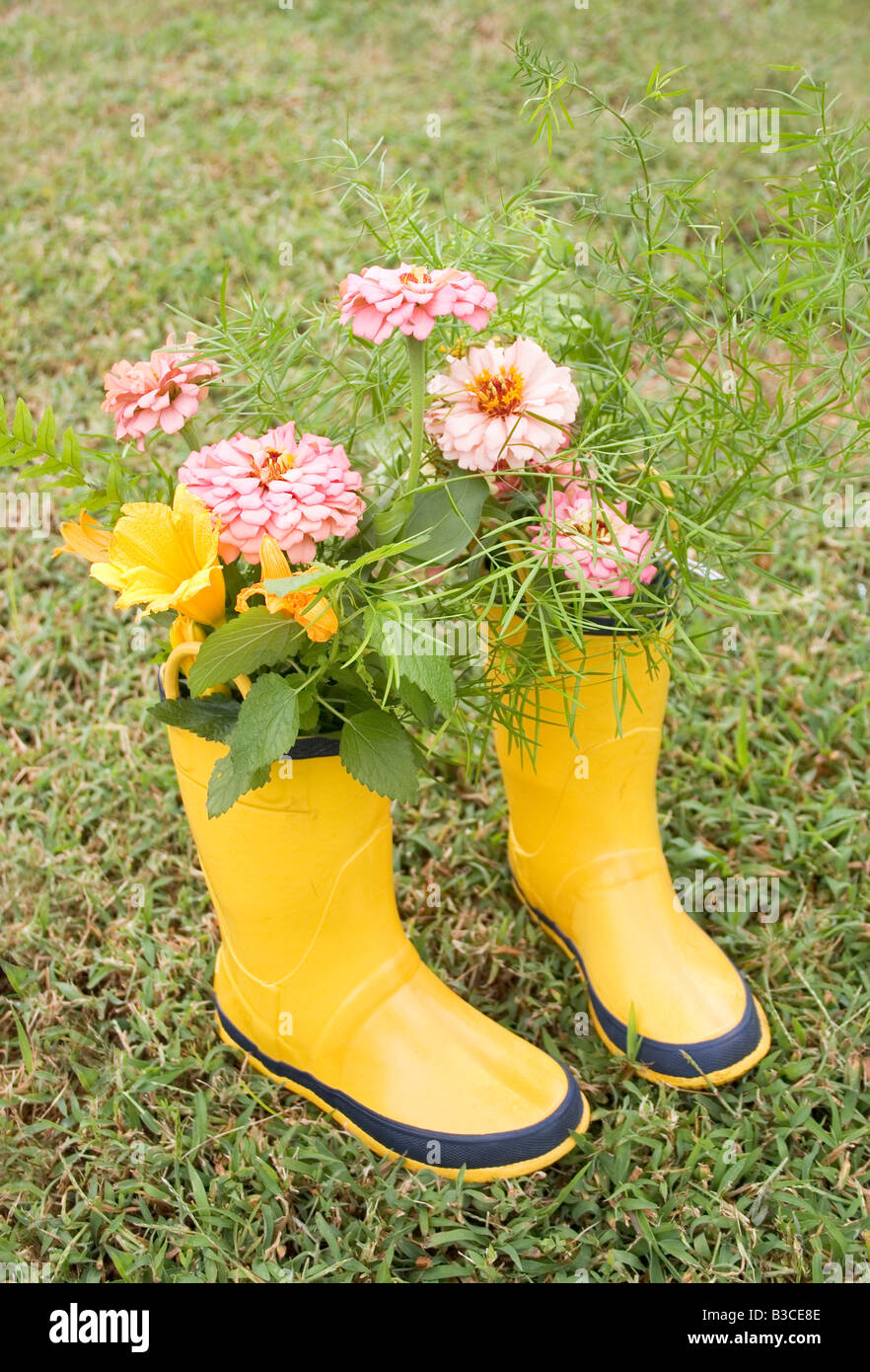Yellow galoshes filled with flowers.  Caption space at the top. Stock Photo