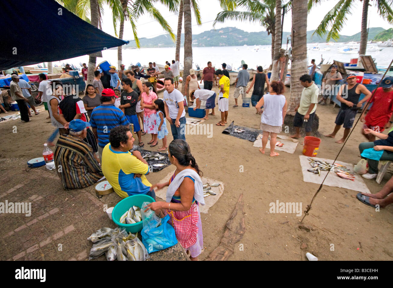 ZIHUATANEJO, Mexico - The fish market on the beach at Playa Principal, Zihuatanejo, Mexico. When the local fisherman return about dawn, they sell their catches at a beach fish market to early morning buyers. Being a traditional fishing village, the seafood in Zihuatanejo is superb. Stock Photo