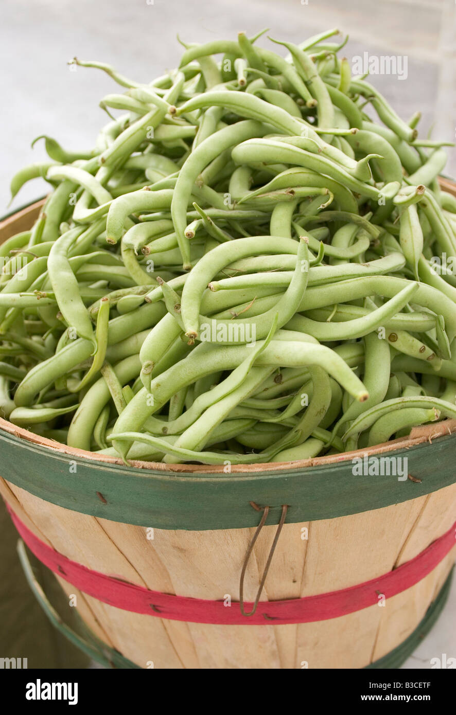How Much Is A Bushel Of Green Beans Cost - canvas-zone How Much Is A Bushel Of Green Beans