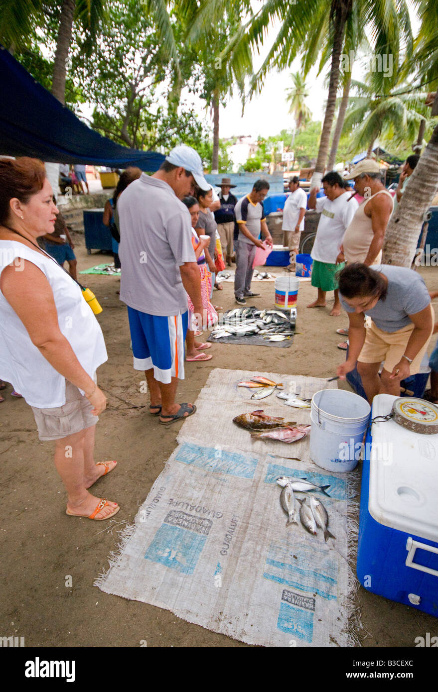 ZIHUATANEJO, Mexico - The fish market on the beach at Playa Principal, Zihuatanejo, Mexico. When the local fisherman return about dawn, they sell their catches at a beach fish market to early morning buyers. Being a traditional fishing village, the seafood in Zihuatanejo is superb. Stock Photo