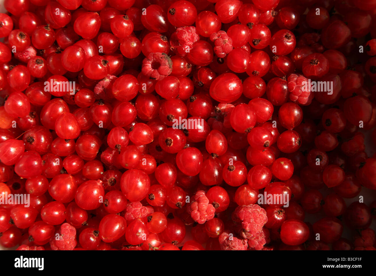Red currant texture hires stock photography and images Alamy