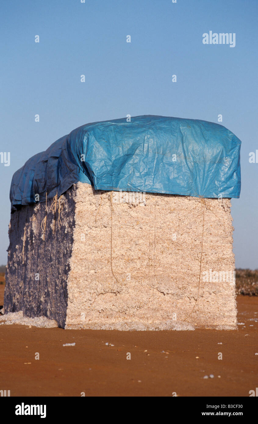 Cotton Module Hillston New South Wales Australia Stock Photo Alamy