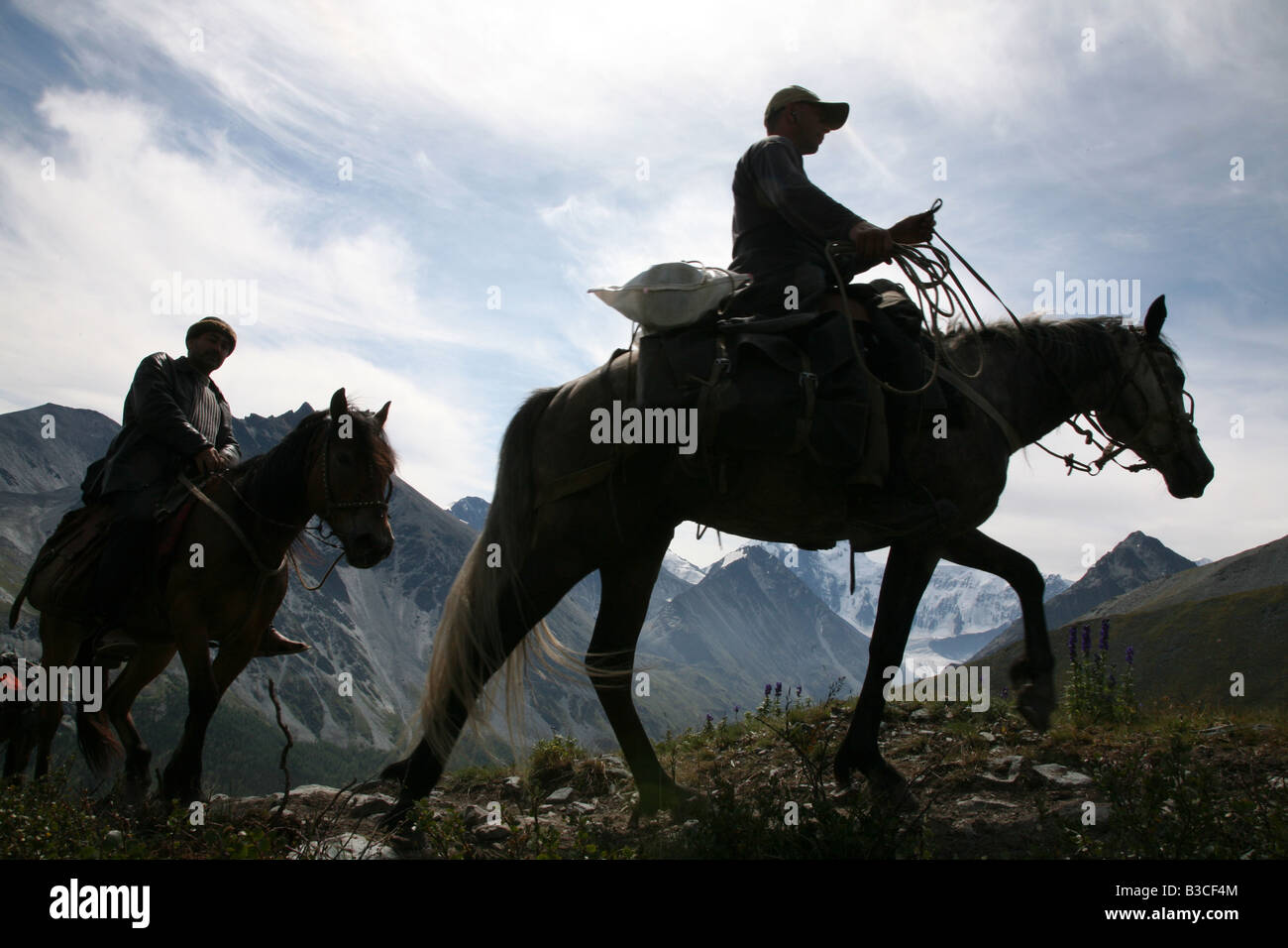 Horse trekking in the Altai Mountains, Russia. Horses climbing up to the mountain pass Karaturek. Stock Photo