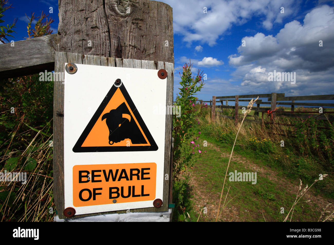 A warning sign stating 'BEWARE OF BULL' beside a country track. Stock Photo