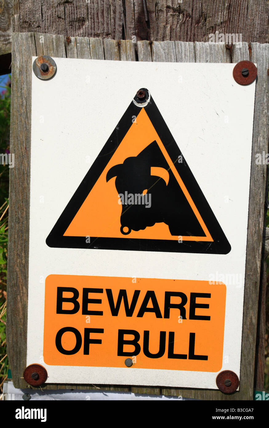 A warning sign stating 'BEWARE OF BULL'. Stock Photo