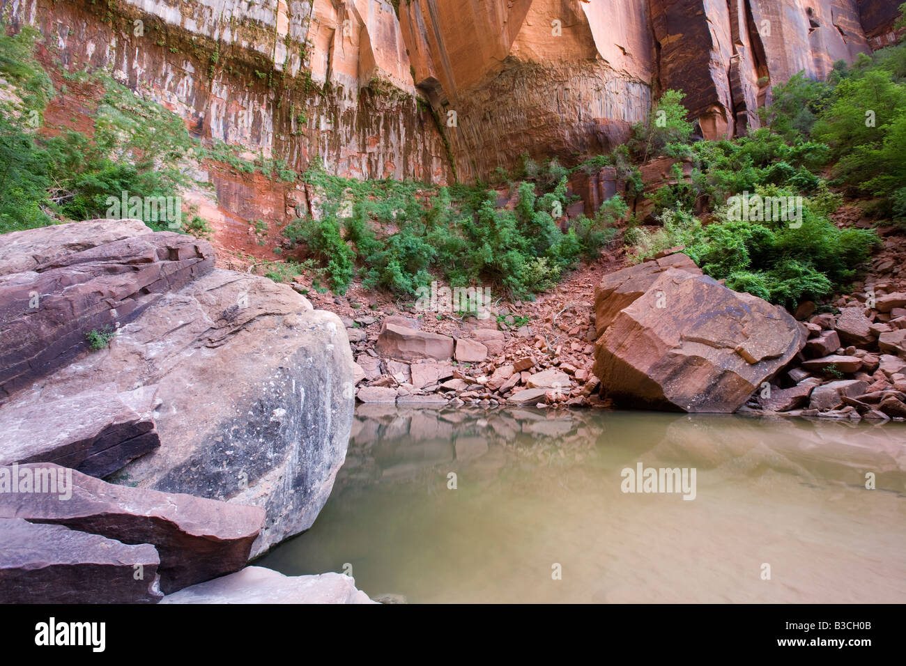 Upper Emerald Pool, Zion National Park, Utah Stock Photo