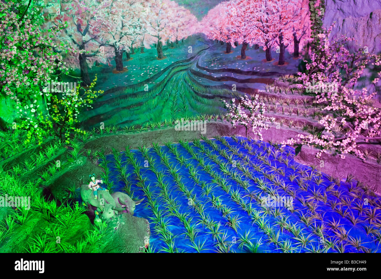 China, Beijing, Longqing Gorge Tourist Park. A model display of rice fields and spring blossom. Stock Photo