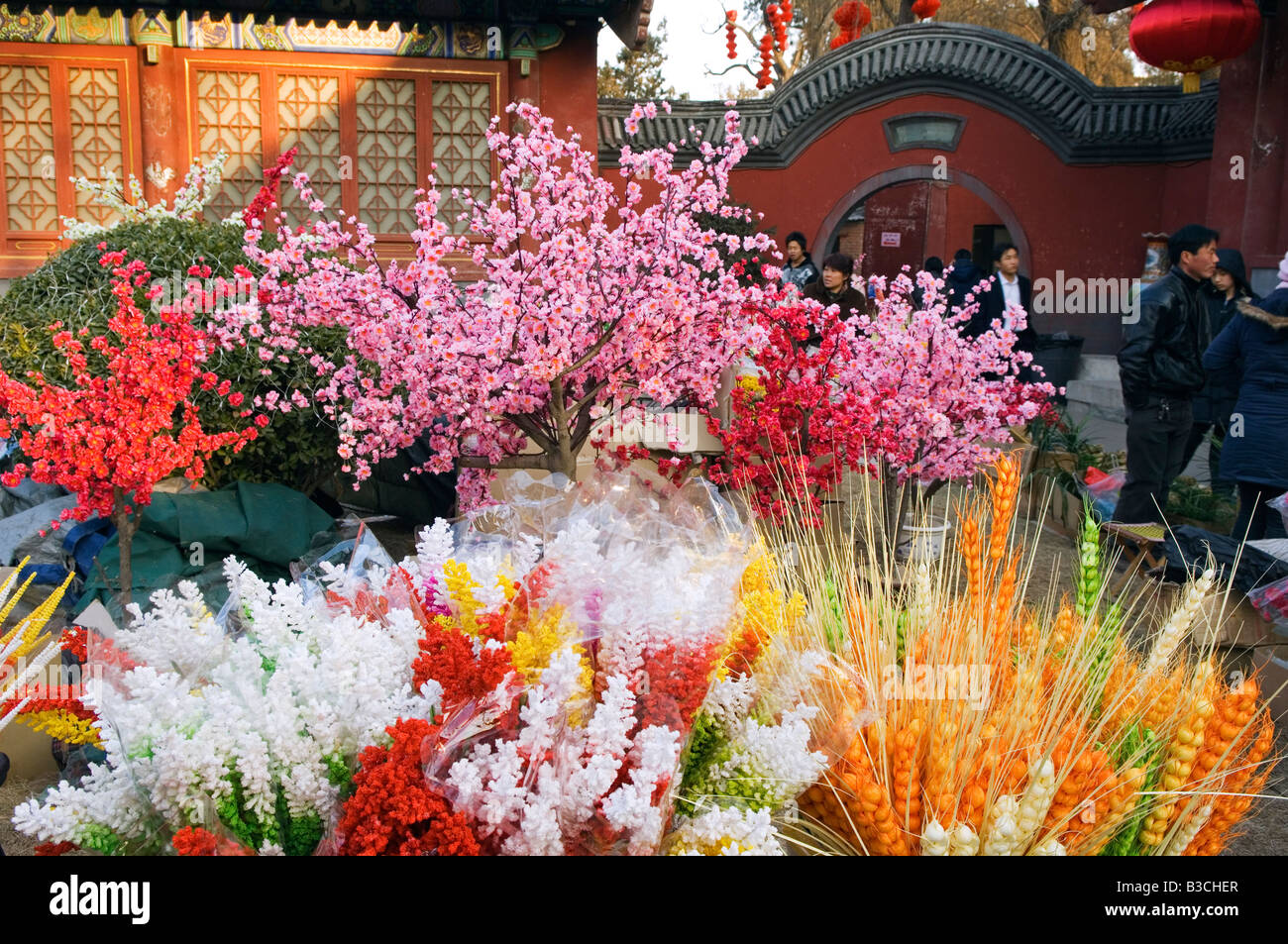 China, Beijing. Chinese New Year Spring Festival - a flower display at