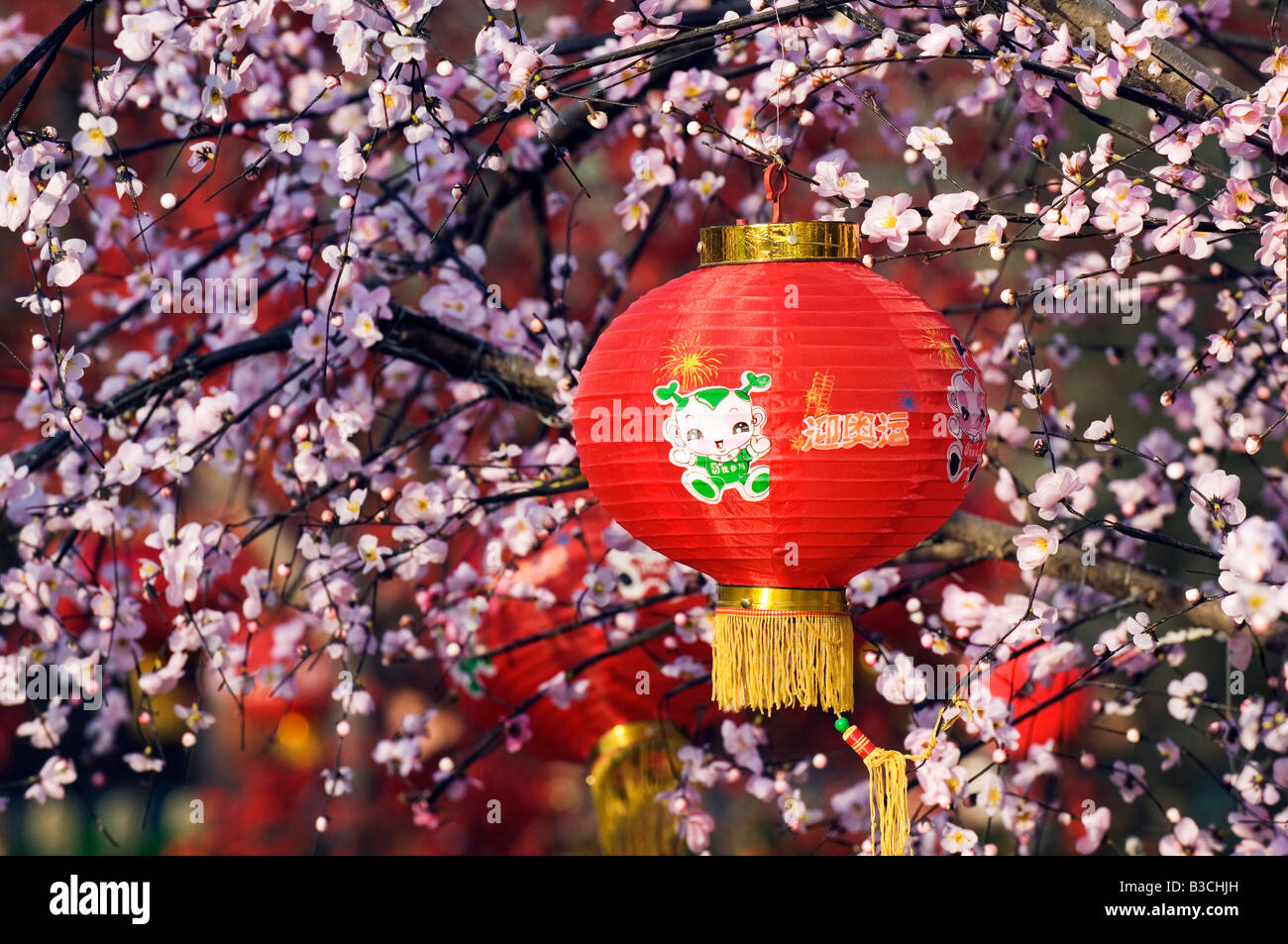 difference between chinese new year and spring festival