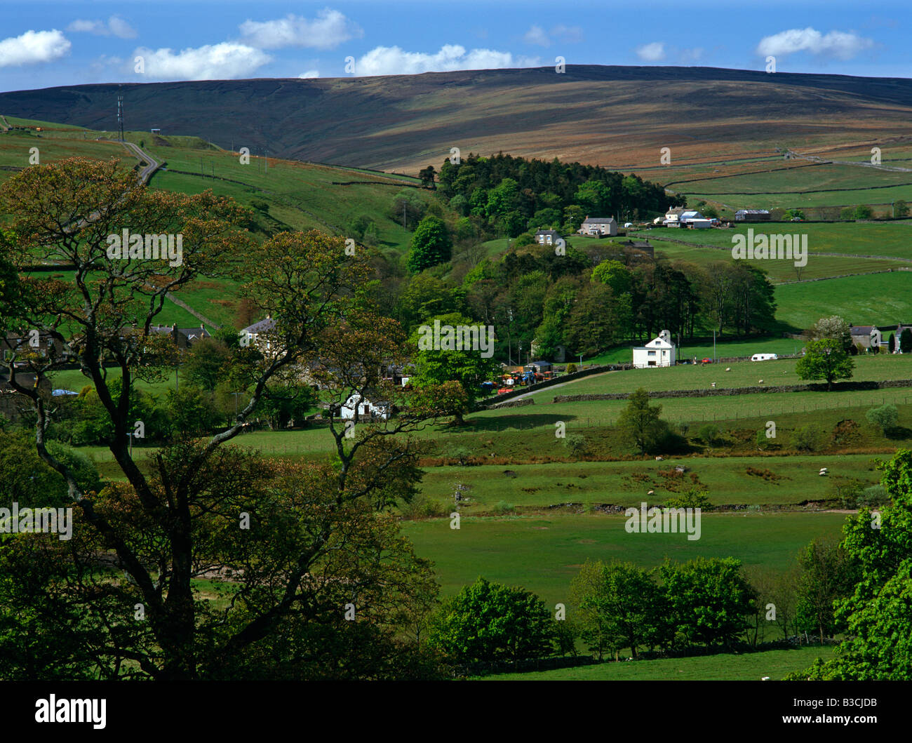County Durham Countryside High Resolution Stock Photography and Images