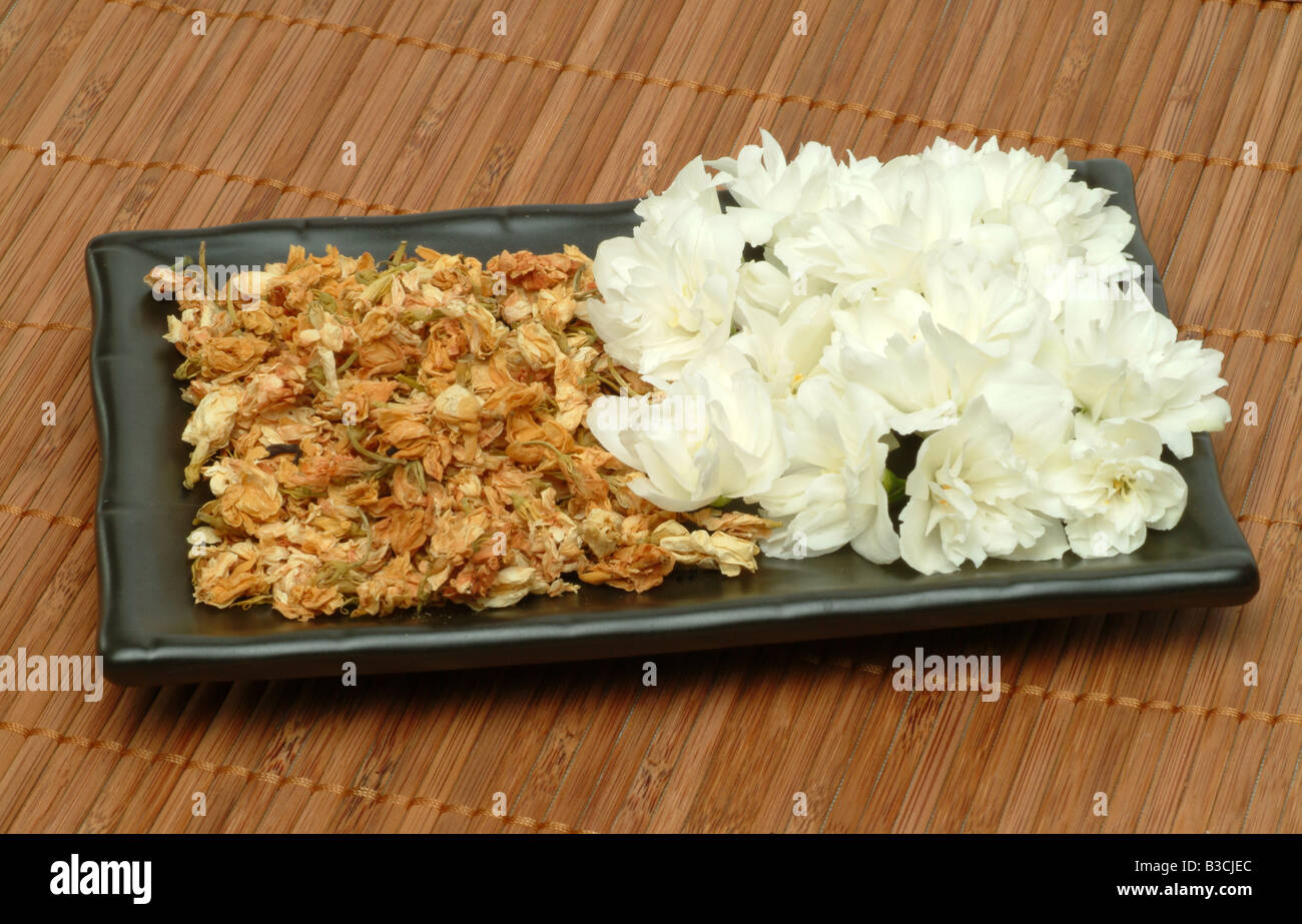dried and fresh Blossoms of the medicinal plant Jasmine Jesamine