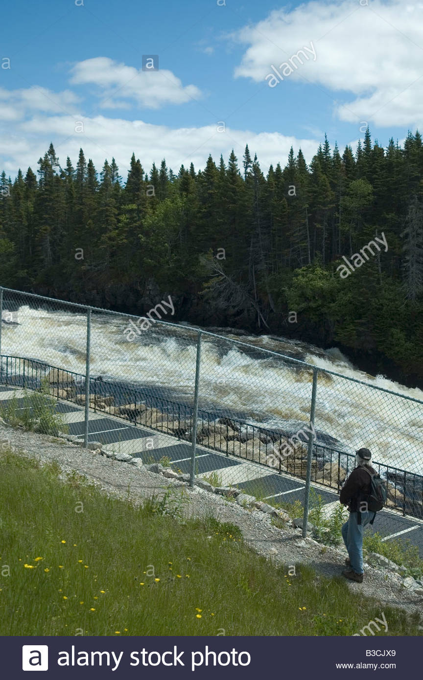 Fish Ladder Salmon High Resolution Stock Photography and Images Alamy