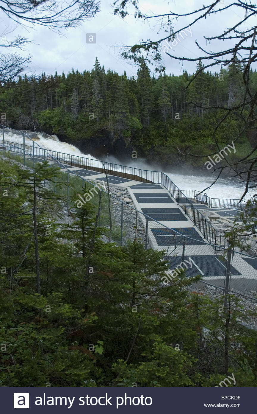 Salmon Ladder Stock Photos & Salmon Ladder Stock Images Alamy
