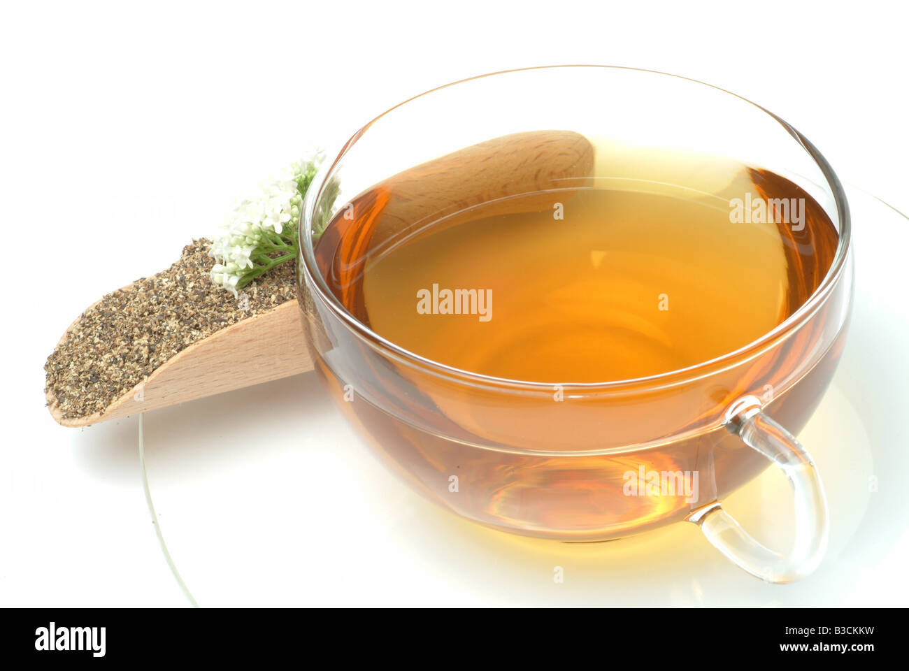 medicinal tea made of Valeriana officinalis medicinal plant Valerian Valeriana pianta medicinale te Stock Photo
