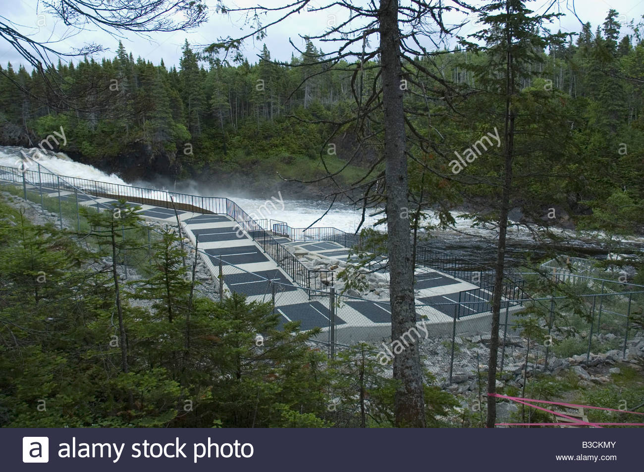 Fish Ladder Salmon High Resolution Stock Photography and Images Alamy