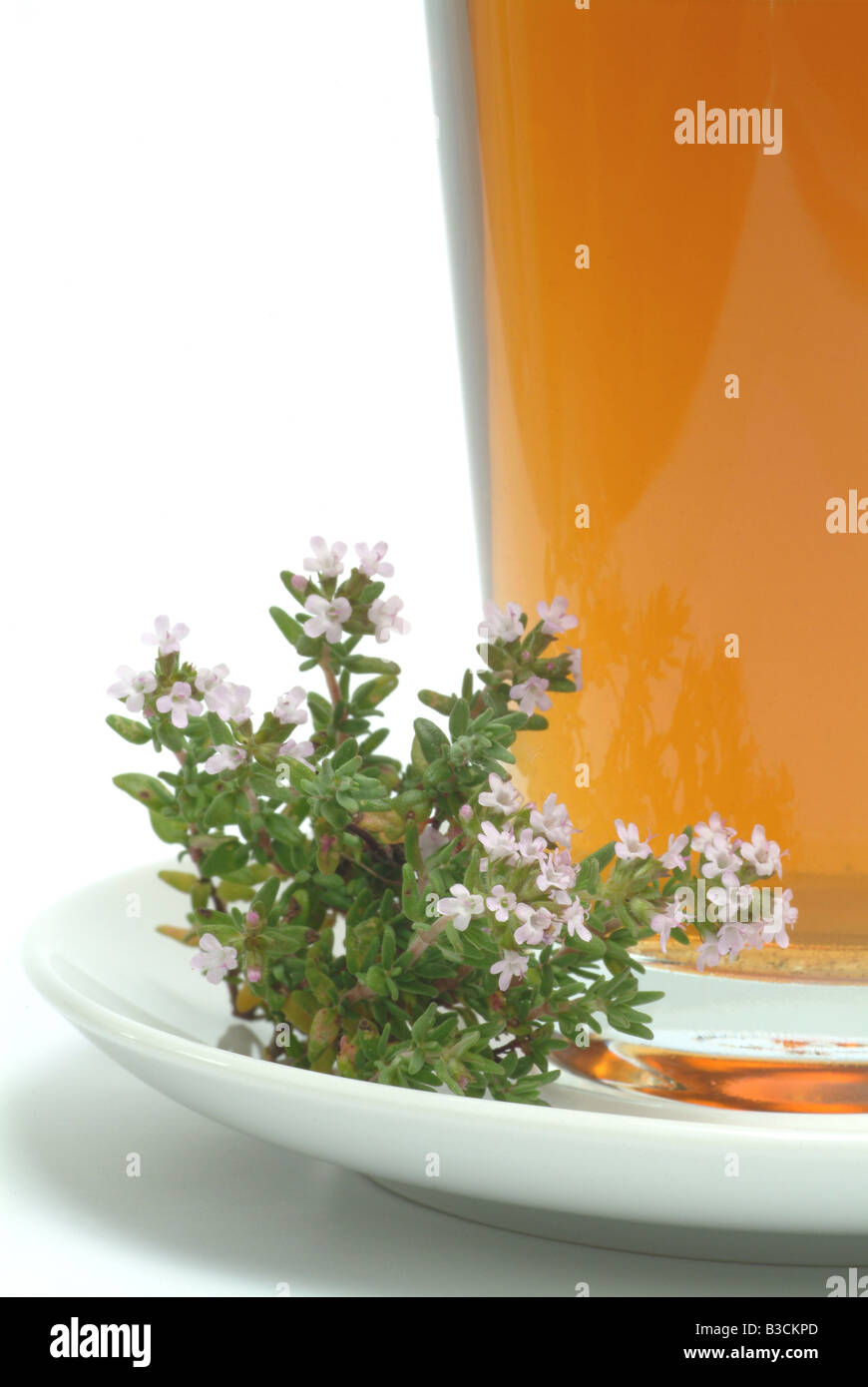Timimouane Tea Thymiantee medicinal tea herbtea thyme thymetea thymus vulgaris timo ...