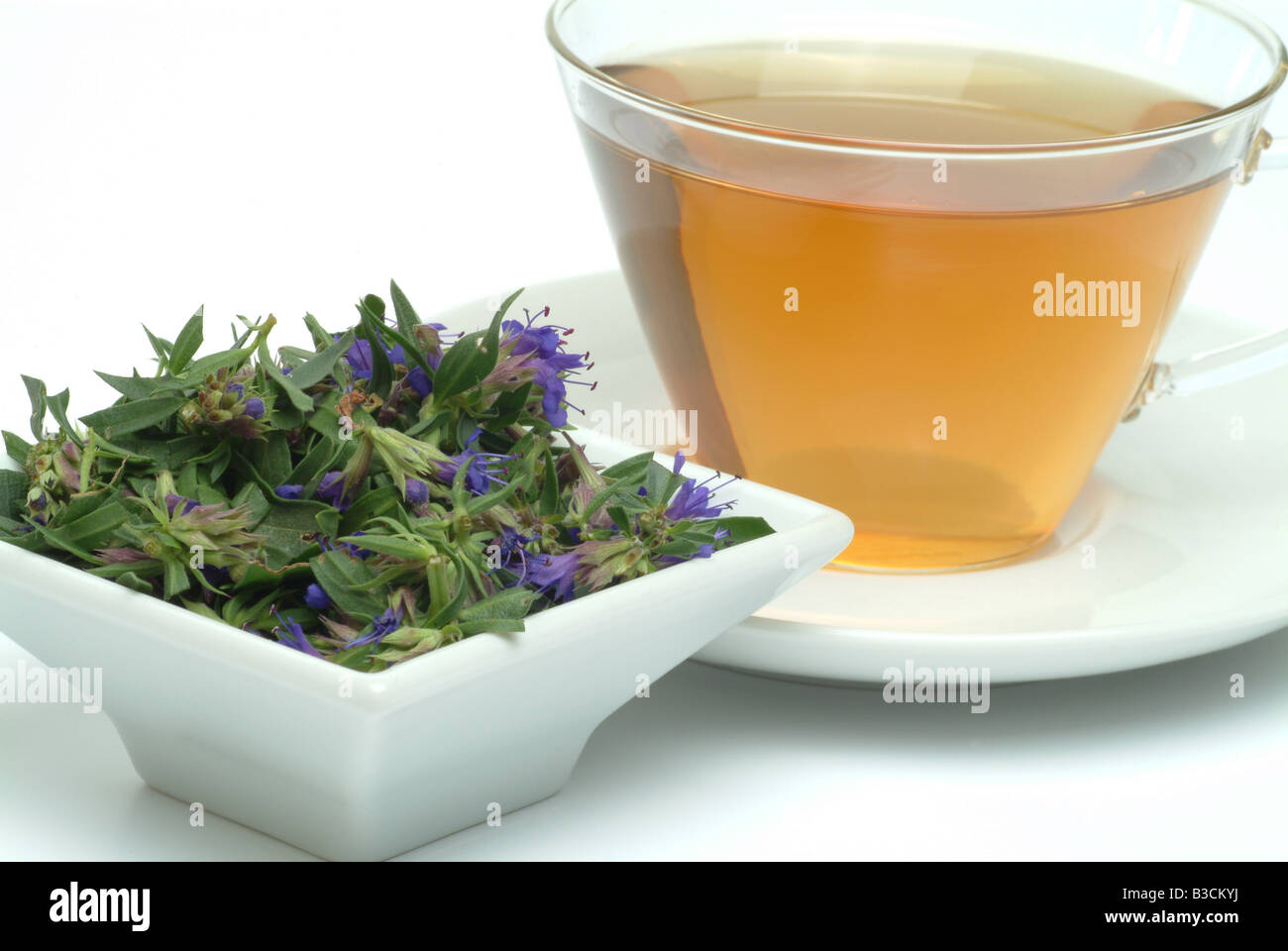 herbtea made of Ysop Hyssop Hyssopus officinalis Issopo Ysoptee ...