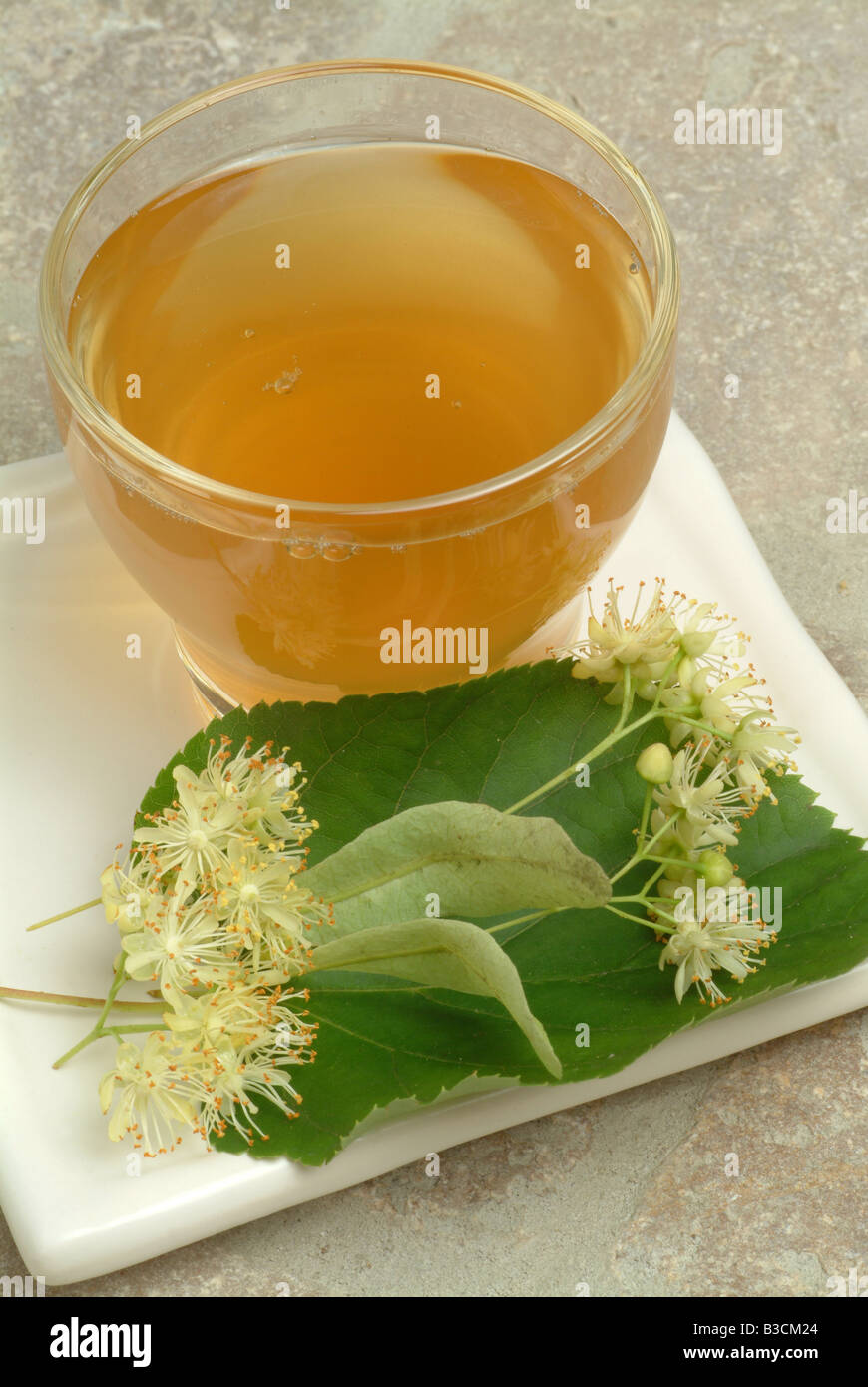 Limetea hi-res stock photography and images - Alamy