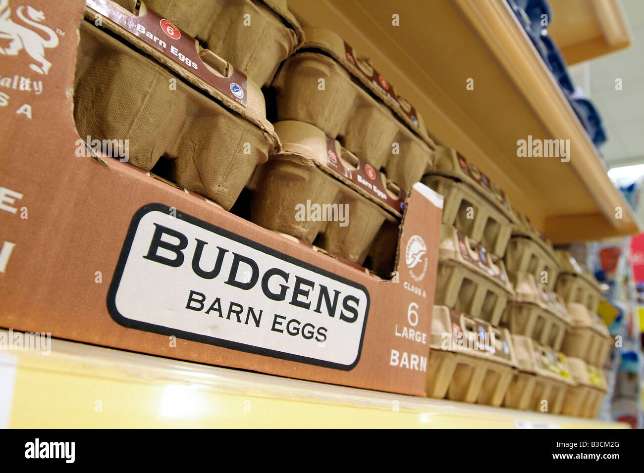 Barn eggs for sale on a supermarket shelf Stock Photo Alamy