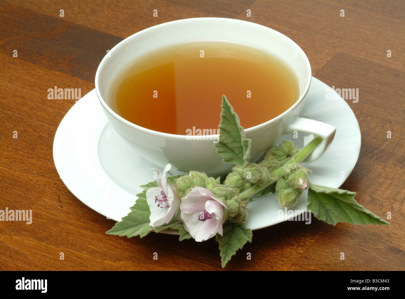 Marshmallow medicine hires stock photography and images Alamy