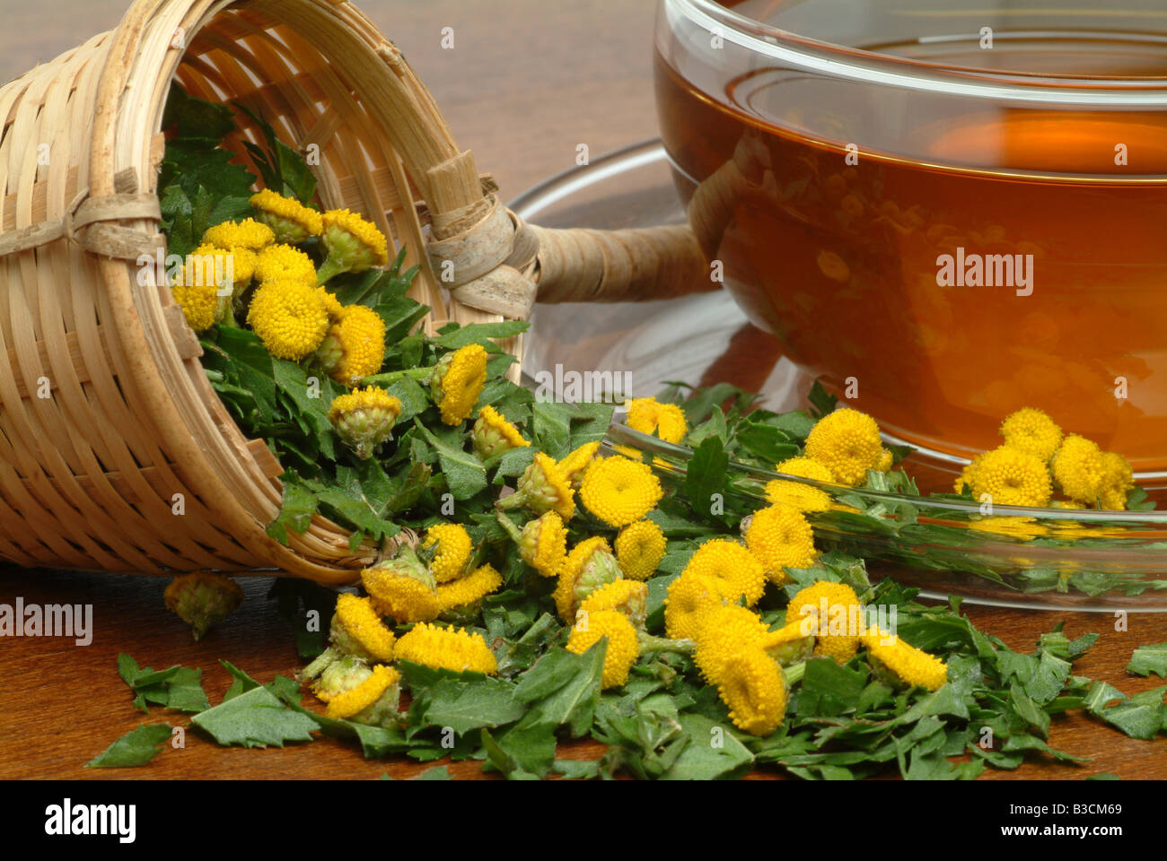 Tancy Tea herbtea made of Tancy Tanecetum vulgare Tanaceto Tanecetum vulgaris ...