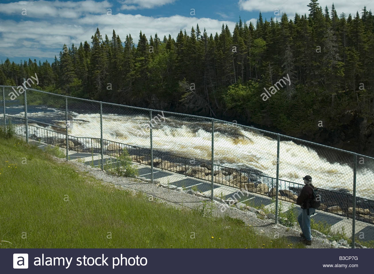 Salmon Fish Ladder Stock Photos & Salmon Fish Ladder Stock Images - Alamy