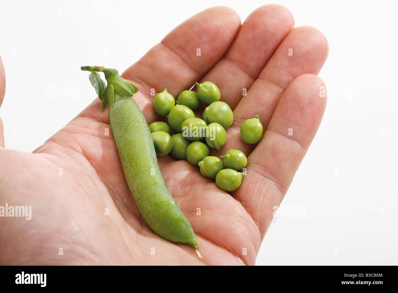 Snow peas on hand palm, close-up Stock Photo