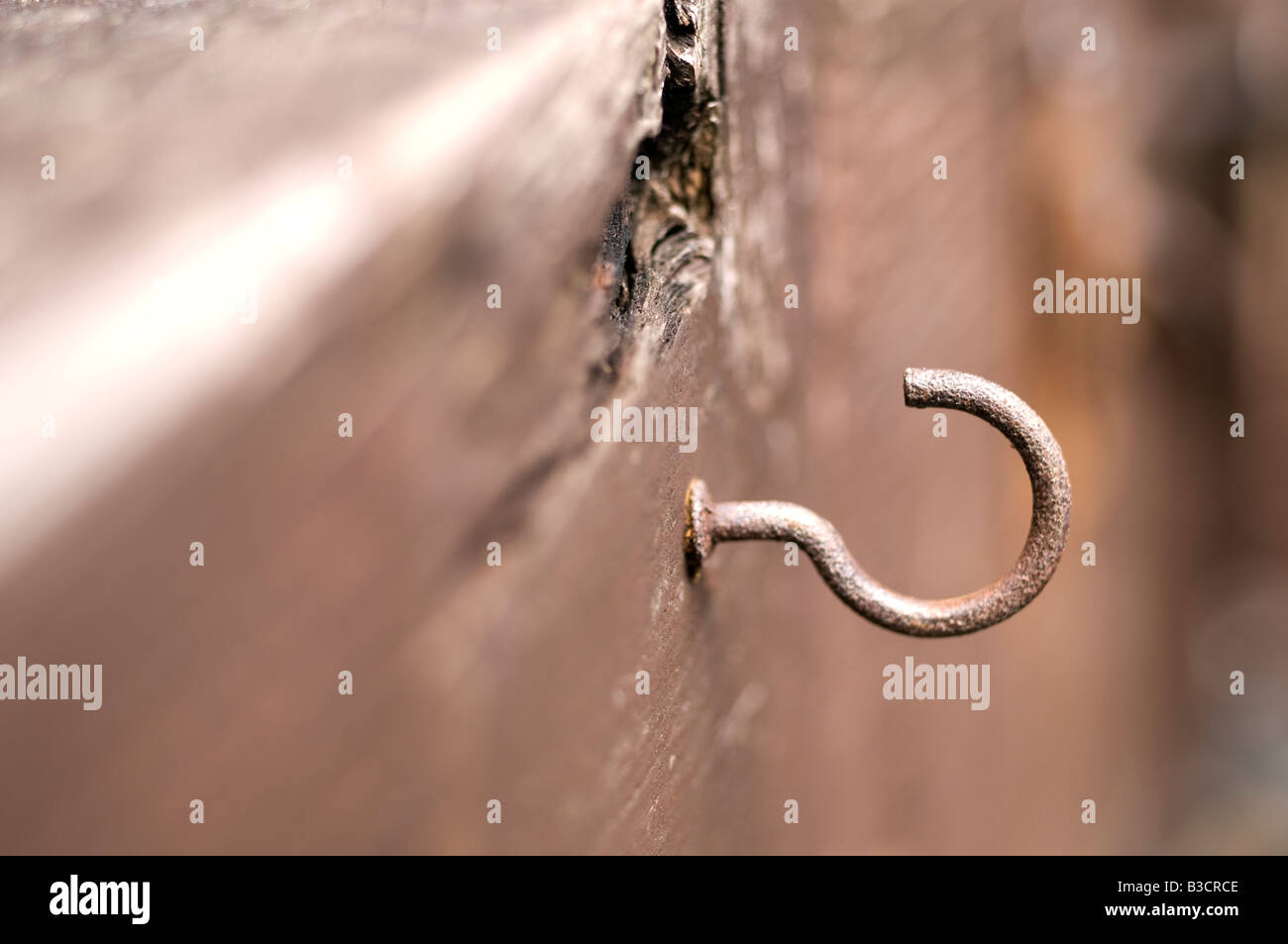Rusty hook screwed into wood Stock Photo Alamy