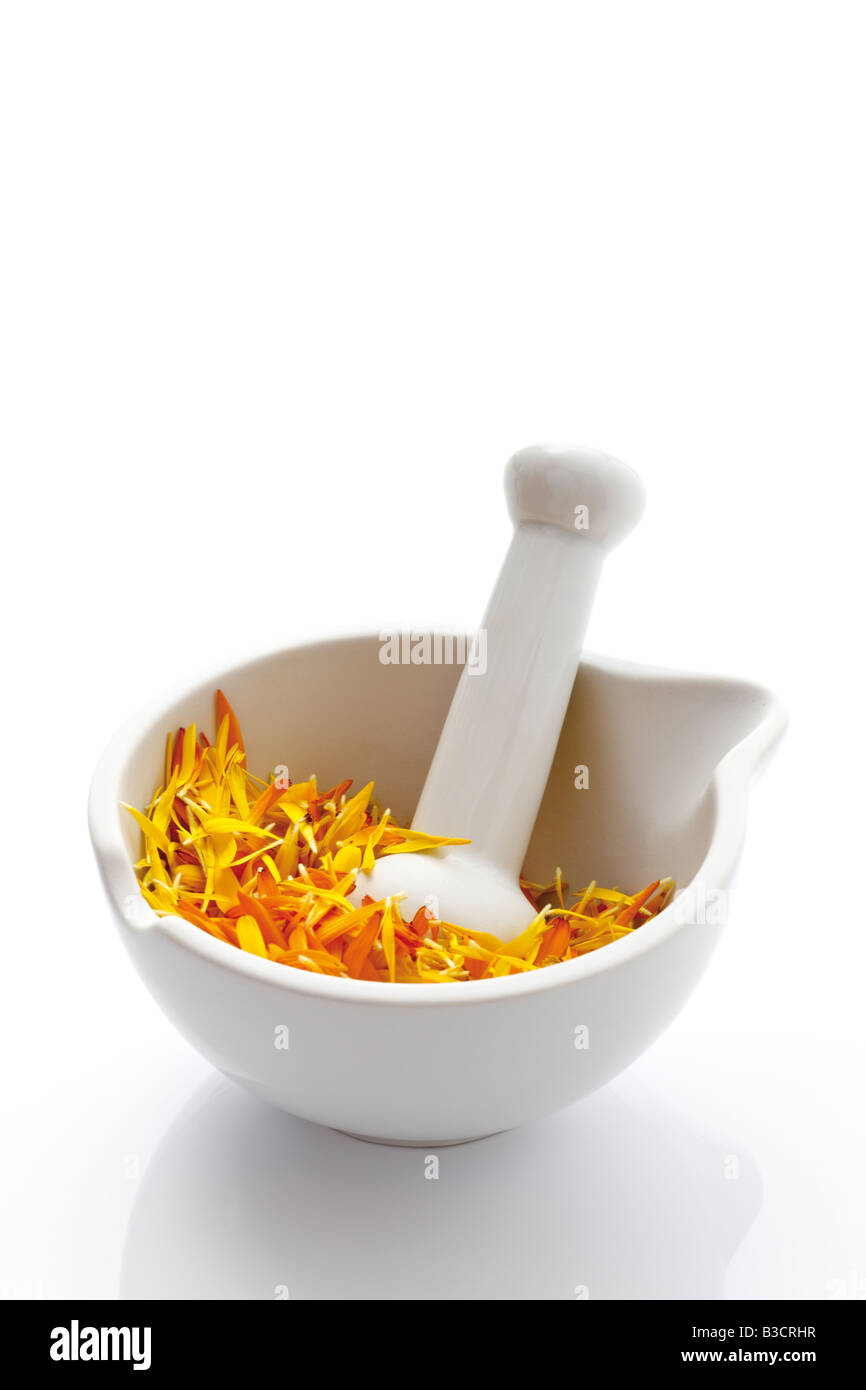 Marigold blossoms (Calendula officinalis) in Mortar with pestle, close-up Stock Photo